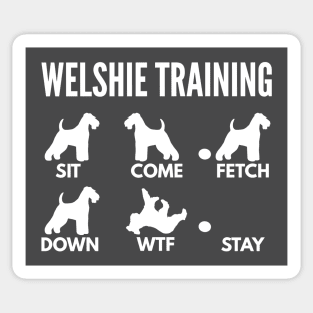 Welsh Terrier Training Welshie Dog Tricks Sticker